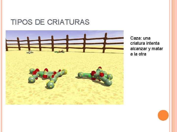 TIPOS DE CRIATURAS Caza: una criatura intenta alcanzar y matar a la otra TIPOS DE CRIATURAS Caza: una criatura intenta alcanzar y matar a la otra