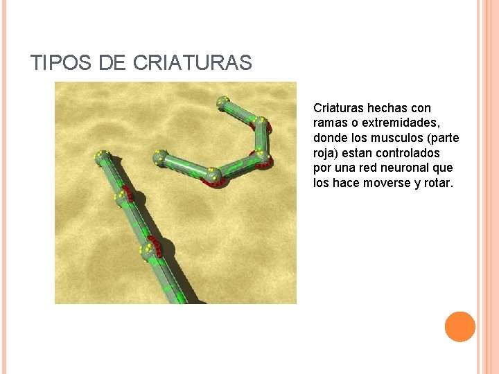 TIPOS DE CRIATURAS Criaturas hechas con ramas o extremidades, donde los musculos (parte roja)