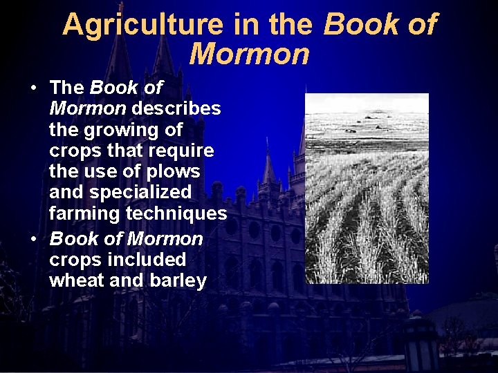 Agriculture in the Book of Mormon • The Book of Mormon describes the growing