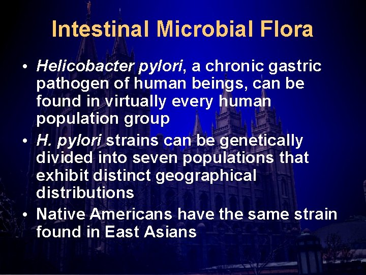 Intestinal Microbial Flora • Helicobacter pylori, a chronic gastric pathogen of human beings, can