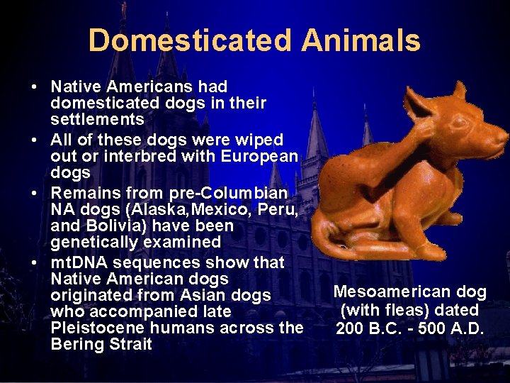 Domesticated Animals • Native Americans had domesticated dogs in their settlements • All of