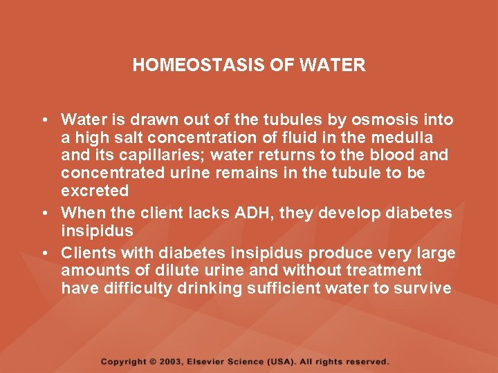 HOMEOSTASIS OF WATER • Water is drawn out of the tubules by osmosis into