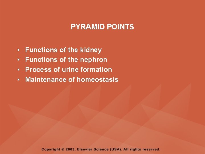 PYRAMID POINTS • • Functions of the kidney Functions of the nephron Process of