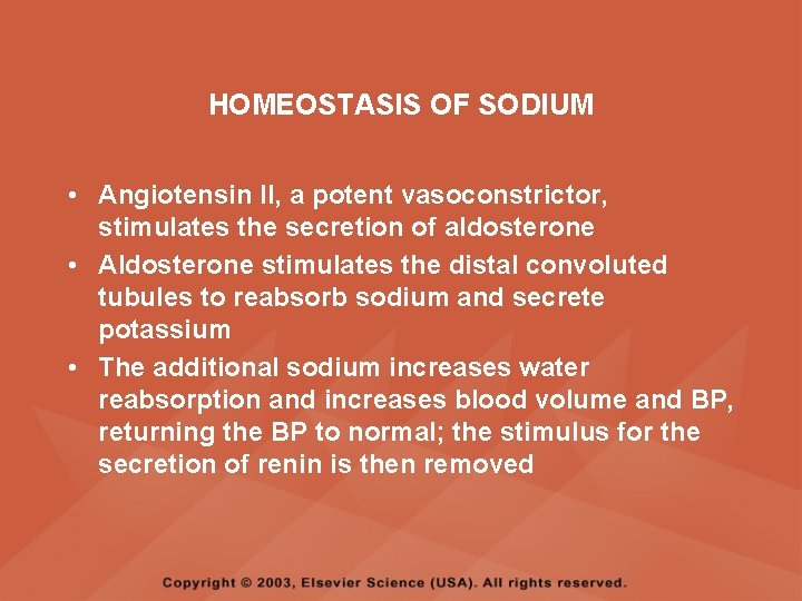 HOMEOSTASIS OF SODIUM • Angiotensin II, a potent vasoconstrictor, stimulates the secretion of aldosterone