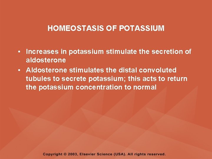 HOMEOSTASIS OF POTASSIUM • Increases in potassium stimulate the secretion of aldosterone • Aldosterone