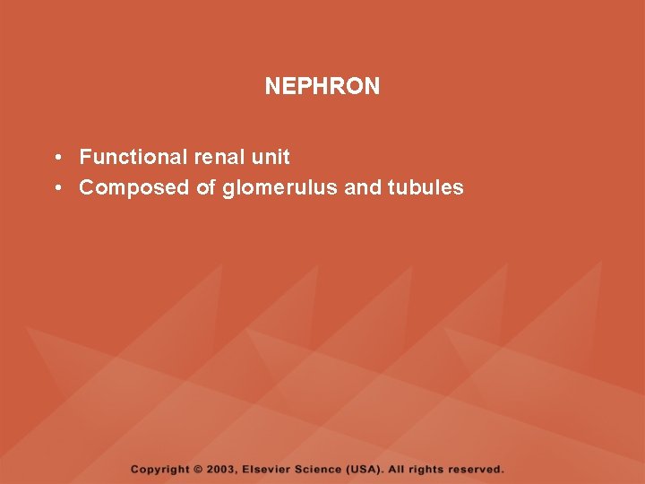 NEPHRON • Functional renal unit • Composed of glomerulus and tubules 