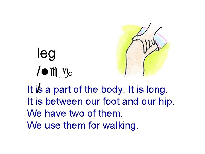 leg /leg It is / a part of the body. It is long. It