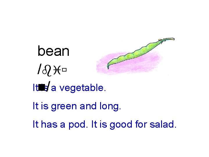 bean /biù Itn is/ a vegetable. It is green and long. It has a