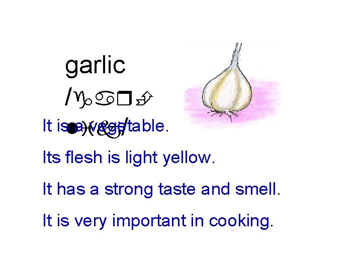 garlic /garÈ It islik a vegetable. / Its flesh is light yellow. It has