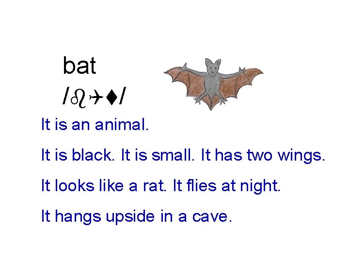 bat /b. Qt/ It is an animal. It is black. It is small. It