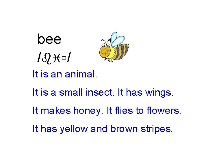 bee /biù/ It is an animal. It is a small insect. It has wings.