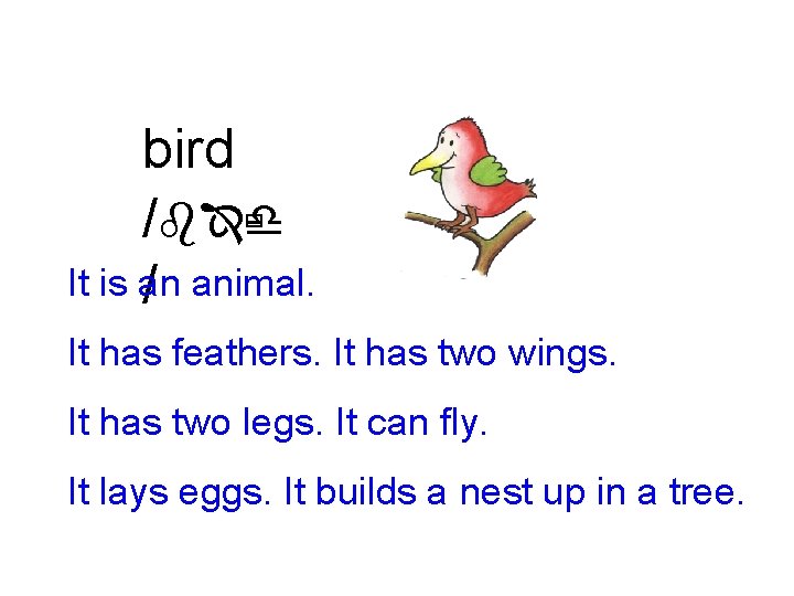 bird /bÎùd It is an / animal. It has feathers. It has two wings.