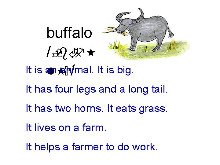 buffalo /ÈbÃf It is an animal. It is big. l U/ It has four