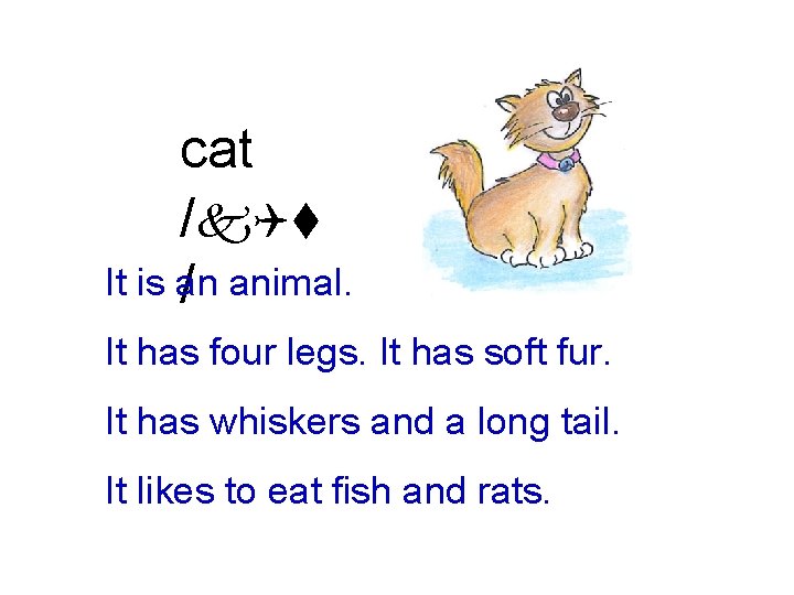 cat /k. Qt It is an / animal. It has four legs. It has