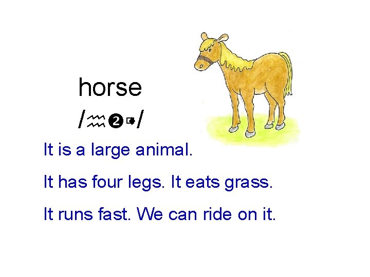 horse /h ùs/ It is a large animal. It has four legs. It eats