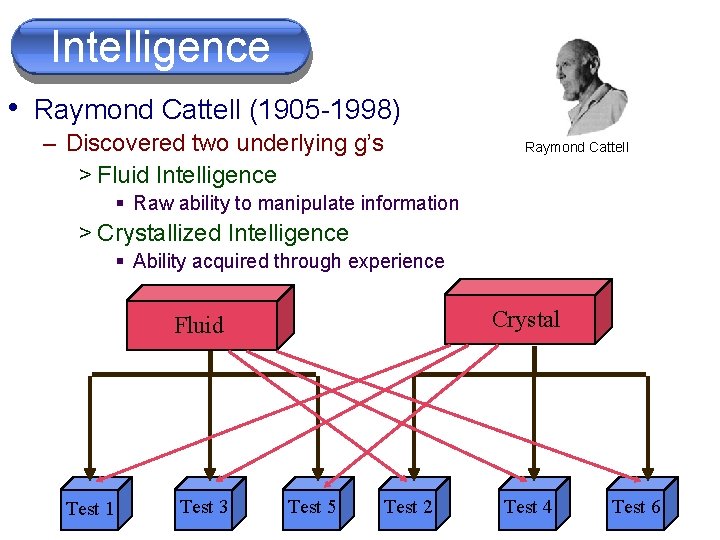 Intelligence • Raymond Cattell (1905 -1998) – Discovered two underlying g’s > Fluid Intelligence