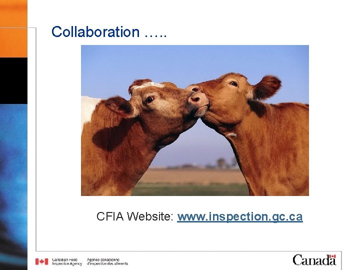 Collaboration …. . CFIA Website: www. inspection. gc. ca 