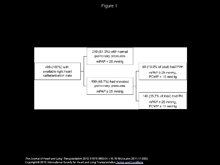 Figure 1 The Journal of Heart and Lung Transplantation 2012 31373 -380 DOI: (10.