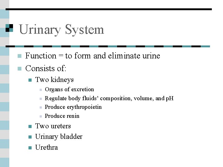 Urinary System n n Function = to form and eliminate urine Consists of: n