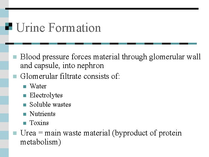 Urine Formation n n Blood pressure forces material through glomerular wall and capsule, into