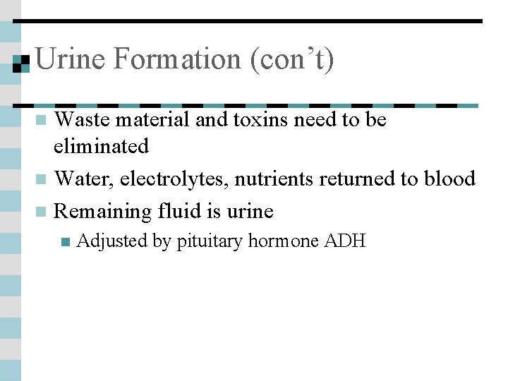 Urine Formation (con’t) Waste material and toxins need to be eliminated n Water, electrolytes,