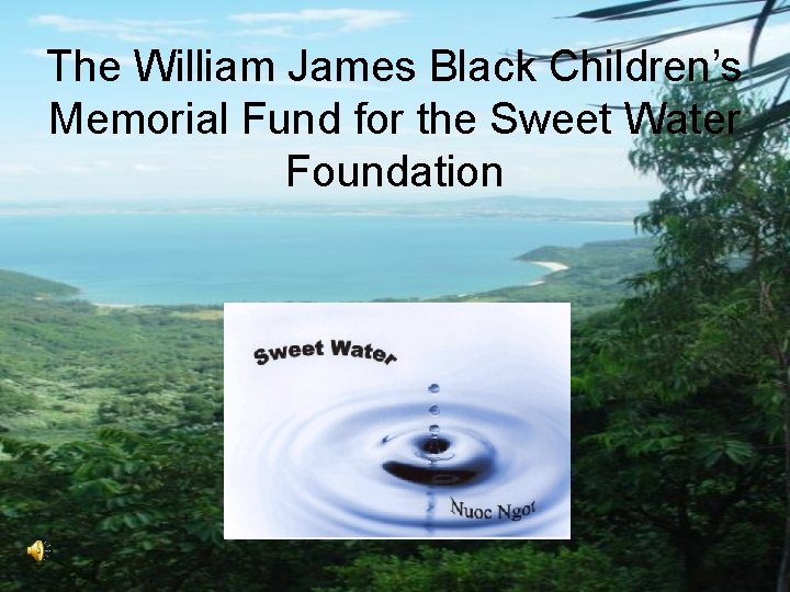 The William James Black Children’s Memorial Fund for the Sweet Water Foundation 