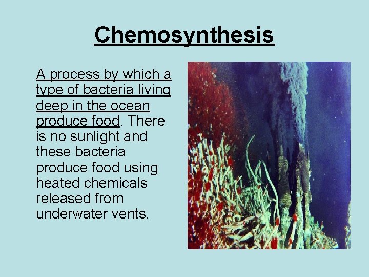 Chemosynthesis A process by which a type of bacteria living deep in the ocean