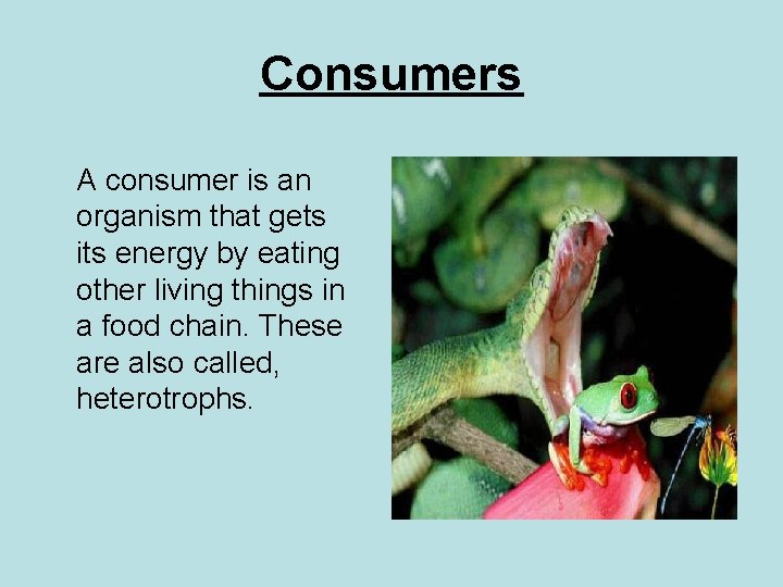 Consumers A consumer is an organism that gets its energy by eating other living