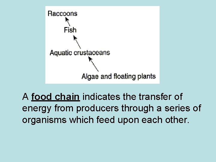 A food chain indicates the transfer of energy from producers through a series of