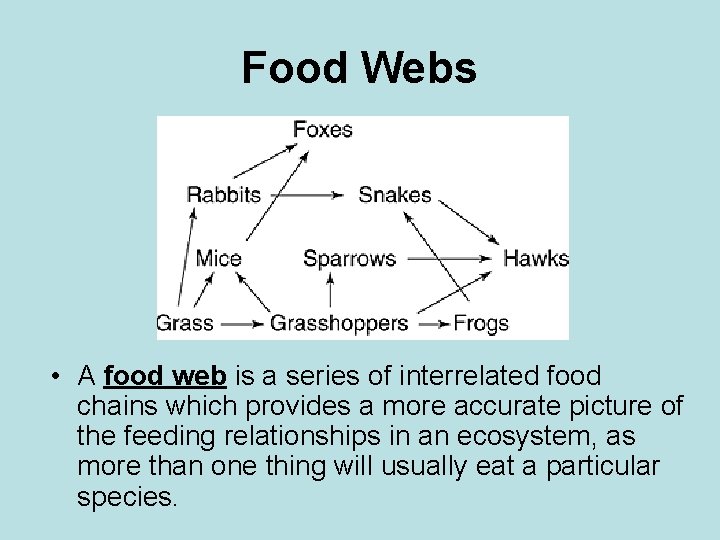 Food Webs • A food web is a series of interrelated food chains which