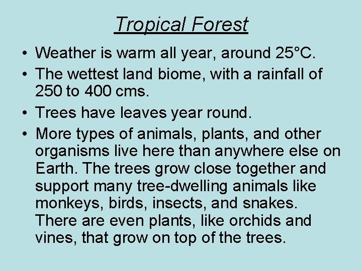 Tropical Forest • Weather is warm all year, around 25°C. • The wettest land