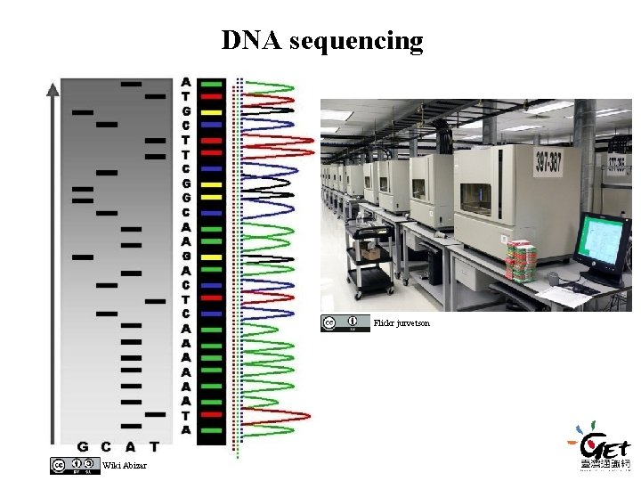 DNA sequencing Flickr jurvetson Wiki Abizar DNA sequencing Flickr jurvetson Wiki Abizar