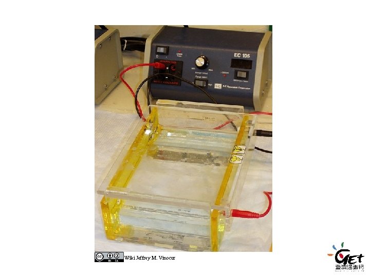 Wiki Jeffrey M. Vinocur Wiki Jeffrey M. Vinocur