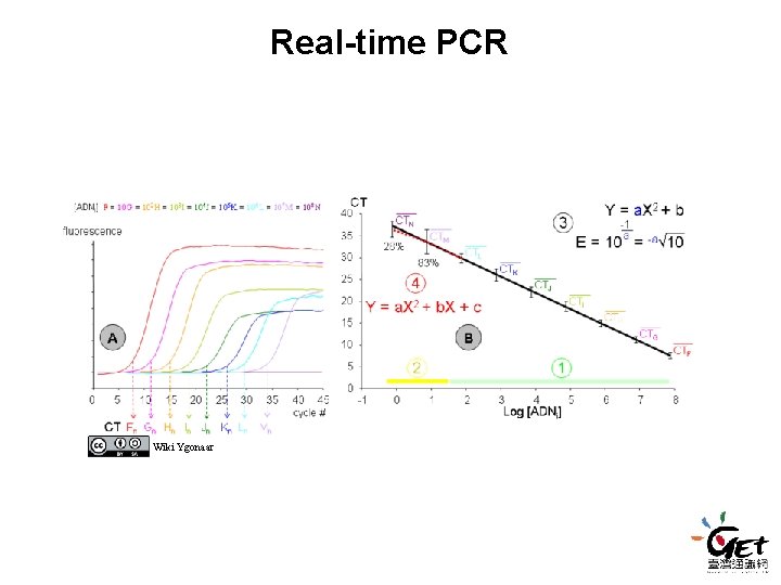 Real-time PCR Wiki Ygonaar Real-time PCR Wiki Ygonaar