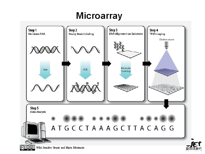 Microarray Wiki Jennifer Grants and Marie Morimoto Microarray Wiki Jennifer Grants and Marie Morimoto
