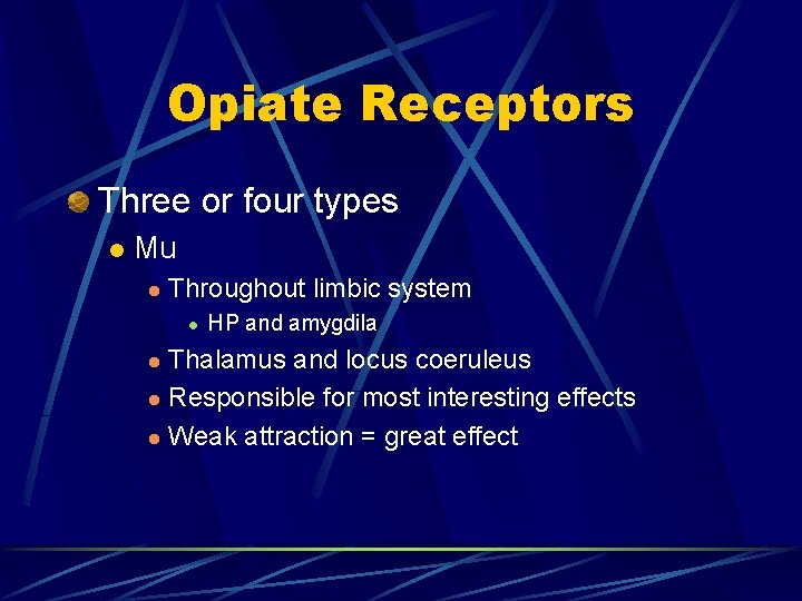 Opiate Receptors Three or four types l Mu l Throughout limbic system l HP