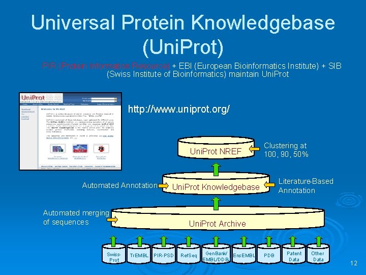 Universal Protein Knowledgebase (Uni. Prot) PIR (Protein Information Resource) + EBI (European Bioinformatics Institute)