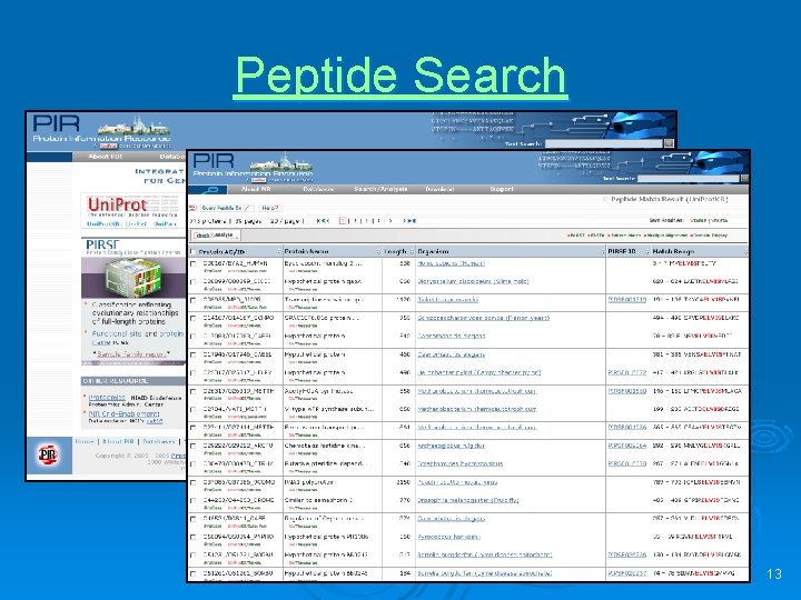 Peptide Search 13 