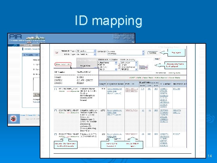 ID mapping 14 