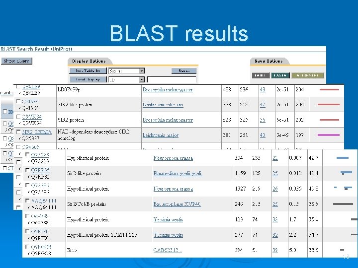 BLAST results 16 
