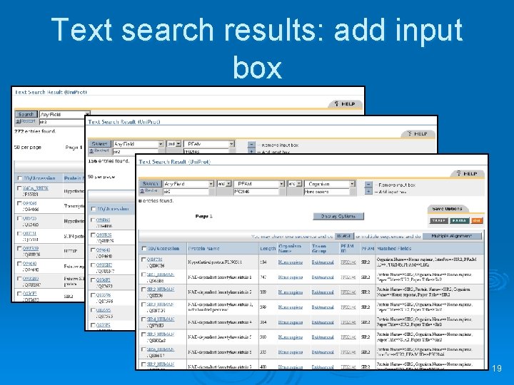 Text search results: add input box 19 