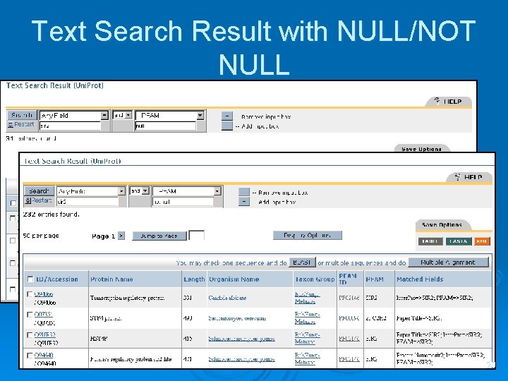 Text Search Result with NULL/NOT NULL 20 