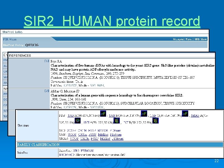 SIR 2_HUMAN protein record 22 