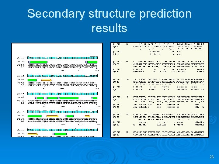Secondary structure prediction results 26 