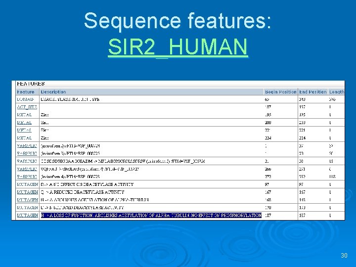 Sequence features: SIR 2_HUMAN 30 