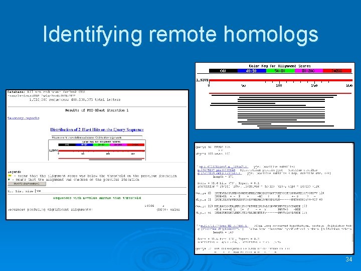 Identifying remote homologs 34 
