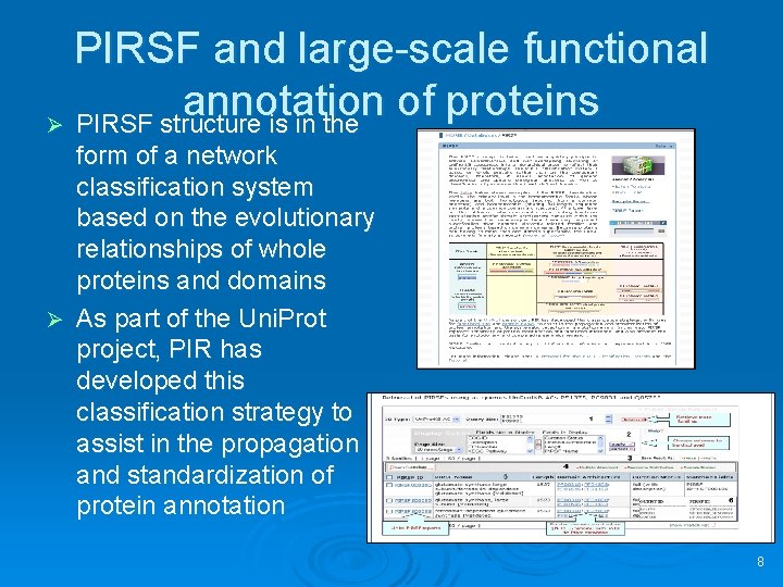 PIRSF and large-scale functional annotation of proteins Ø PIRSF structure is in the form