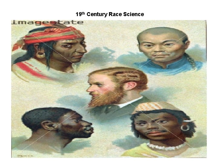 19 th Century Race Science 