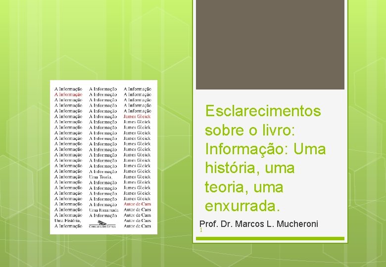 Esclarecimentos sobre o livro: Informação: Uma história, uma teoria, uma enxurrada. Prof. Dr. Marcos