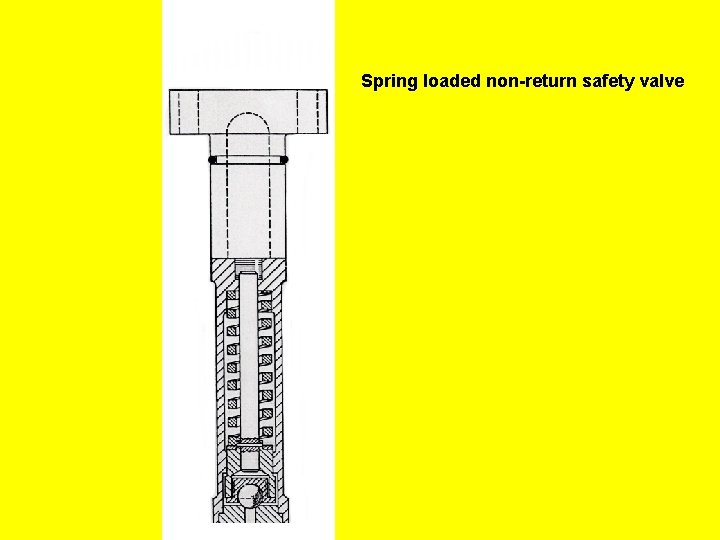 Spring loaded non-return safety valve 